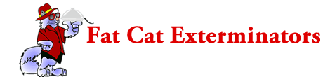 Fat Cat the Exterminator
